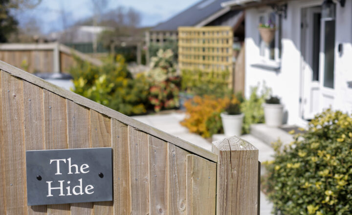 The Hide